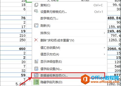 WPS excel数据透视表的应用