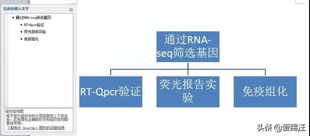 word实战技能！技术大神教你如何利用Word来画技术路线图！