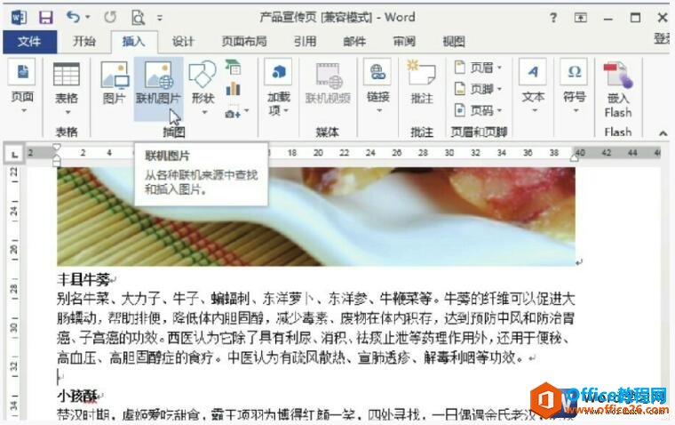 word2013插入联机图片