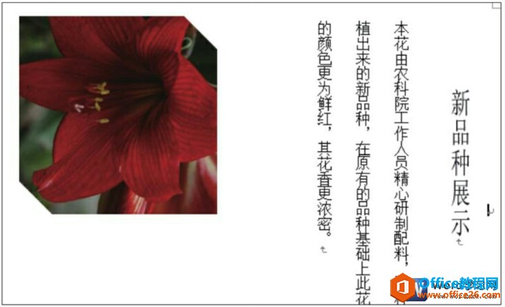 word2010图片裁剪效果