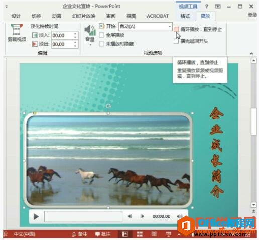 更改ppt视频的播放选项