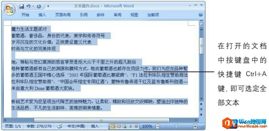 word选定全部文本
