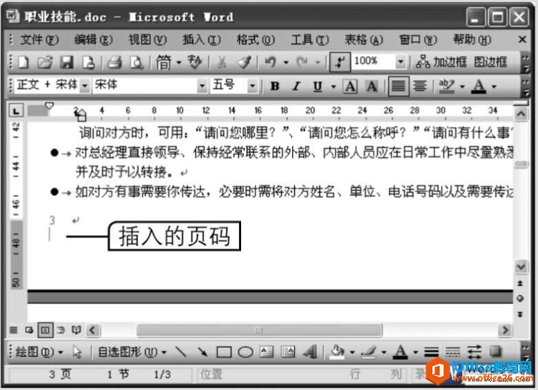 word2003中插入页码的位置