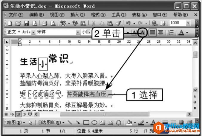 word2003设置文本字符底纹