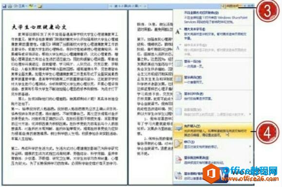 word2007视图选项菜单