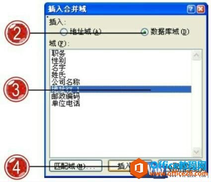 word2007插入合并域