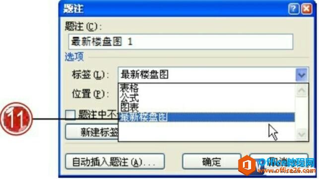 word2007题注对话框