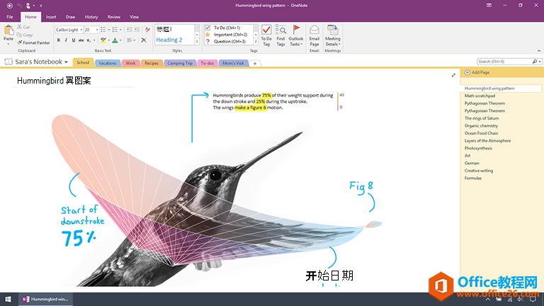 OneNote 2016 中的基本任务 