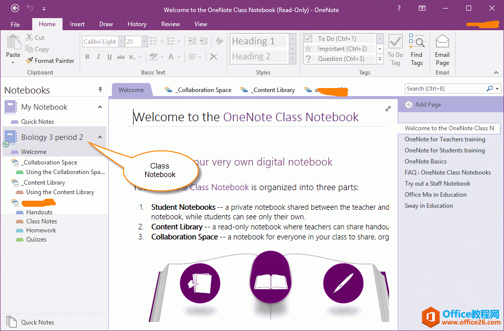 一名学生的 OneNote 课堂笔记本