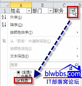 excel筛选模式２１