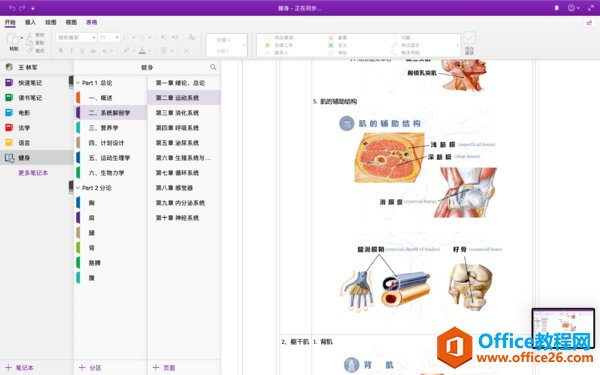 <b>OneNote 我的笔记管理系统和考研生活</b>