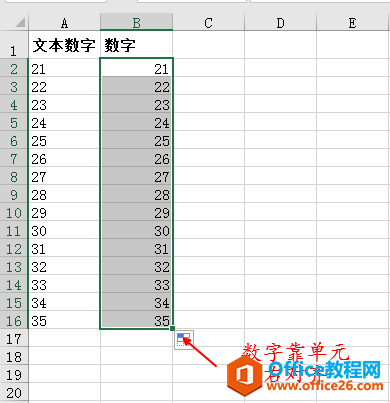 把文本型数字转化为数字，value函数也能做到