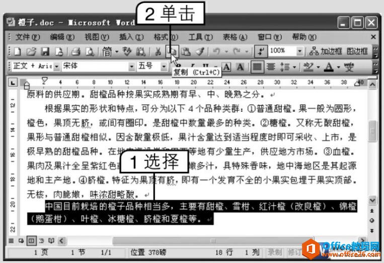 <b>word 复制和粘贴文本的方法详解</b>